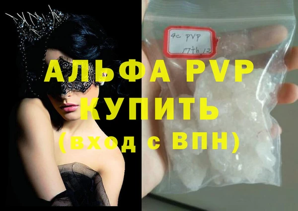 стафф Бородино