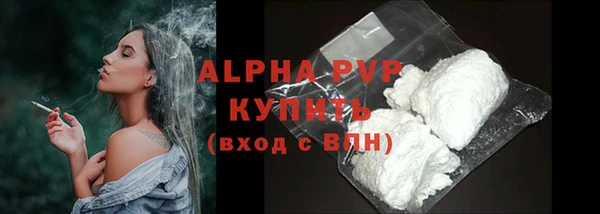 стафф Бородино