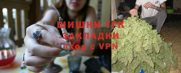 стафф Бородино