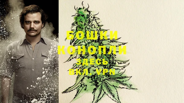 стафф Бородино