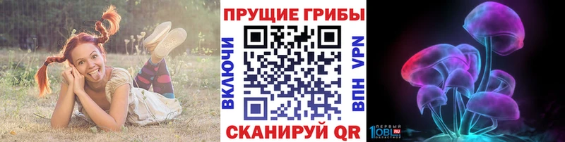 Псилоцибиновые грибы прущие грибы Сретенск